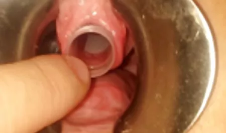 دختر جوان رابطه سریال سکسی الکسیس جنسی می خواست